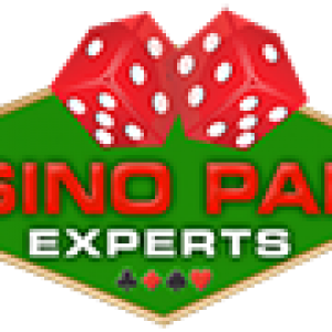 we are casino party experts